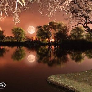 Meet your Posher, Avis